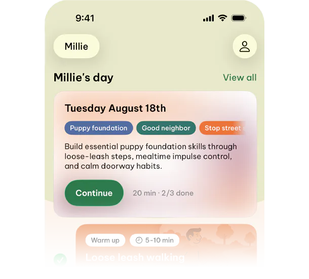 App dashboard showing Millie's plan for the day.