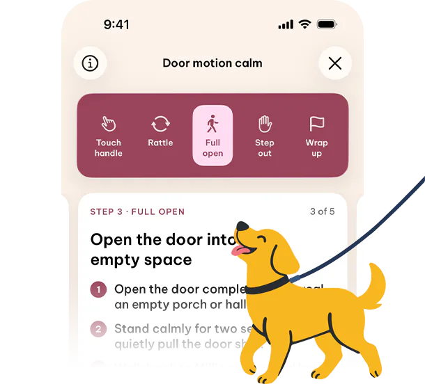Step-by-step door-calm exercise with a golden dog on a leash.