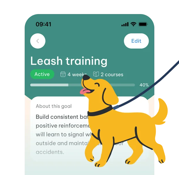 Leash-training exercise with a golden dog on a leash.